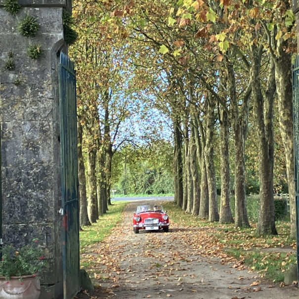 The entrance to the estate and its alley of plane trees