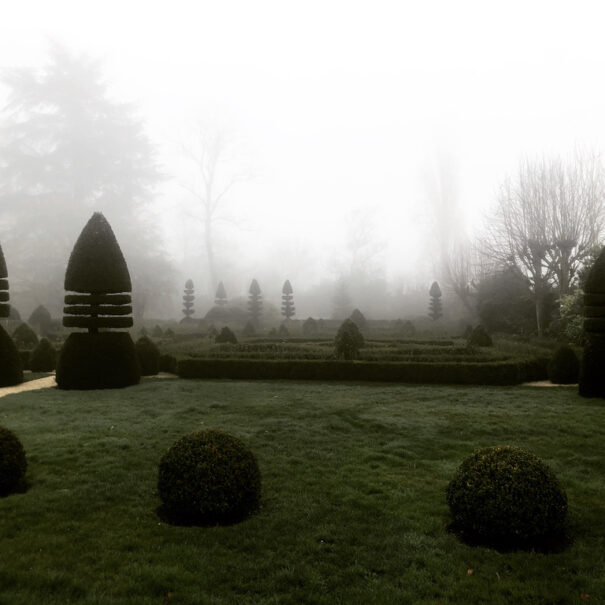 The mist in the garden of the manor