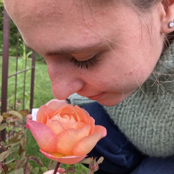 La roseraie, une expérience pour le nez et les yeux