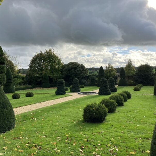The topiary gardens