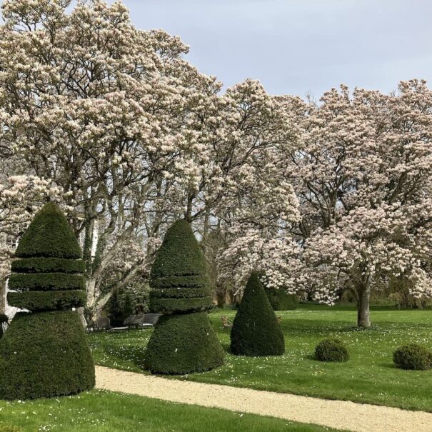 jardin maison d'hôtes hôte location domaine chambre d'hôtes sarthe Le Mans luxe patrimoine