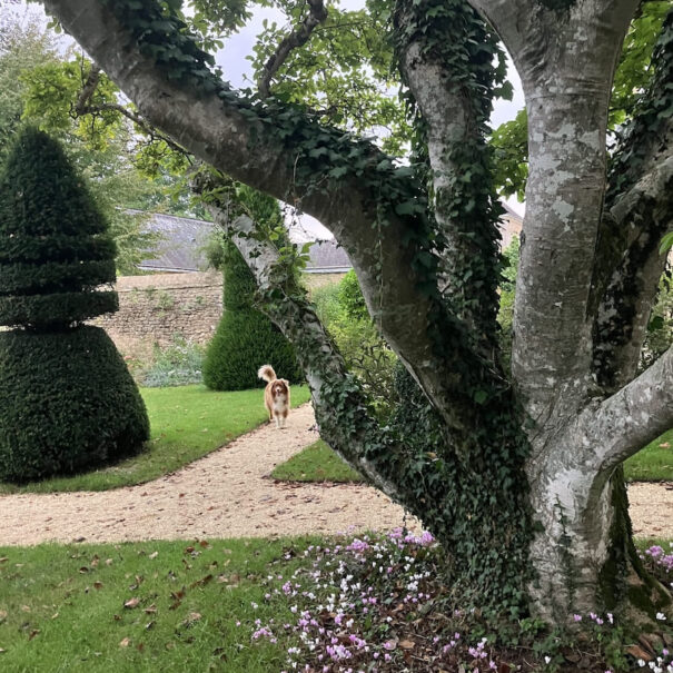 jardin maison d'hôtes hôte location domaine chambre d'hôtes sarthe Le Mans luxe patrimoine