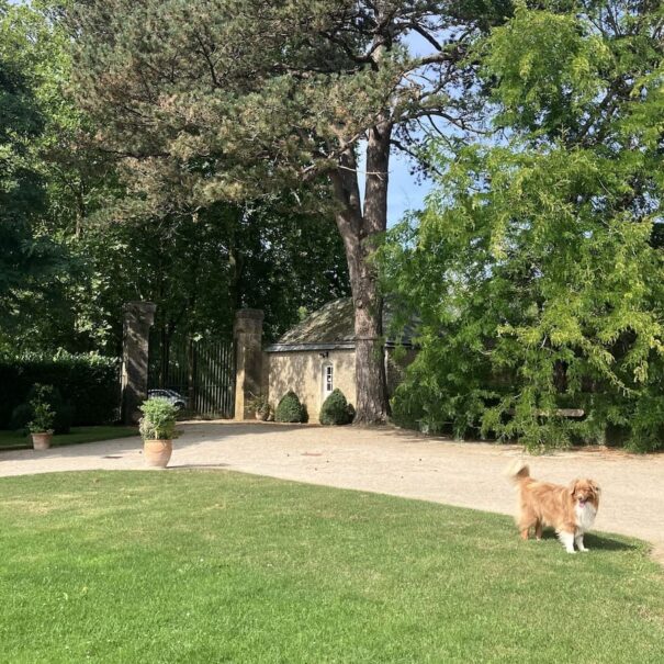 maison d'hôtes hôte chambre d'hôtes location domaine gite cottage jardin sarthe Le Mans luxe patrimoine