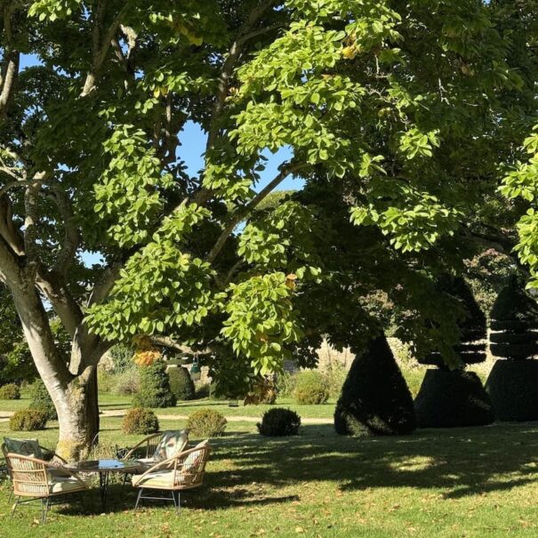 jardin maison d'hôtes hôte location domaine chambre d'hôtes sarthe Le Mans luxe patrimoine