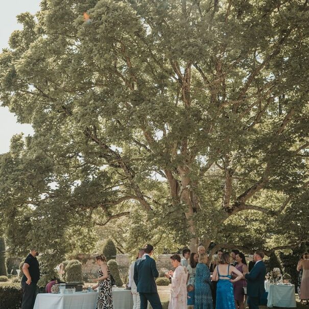 tree garden wedding